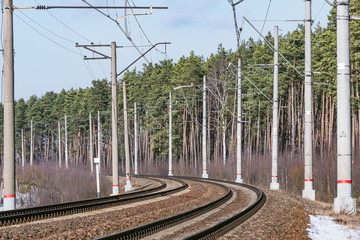 Fototapeta na wymiar Two railway tracks in the spring forest.