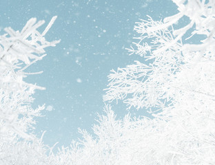 Tree branches in frost against blue sky with falling snowflakes.