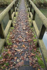 Looking down on a highly weathered brown and wodden bridge, covered with brown foliage and green...
