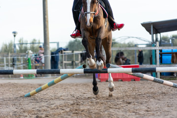 Horse jumping an obstacle during training session