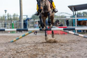 Horse jumping an obstacle during training session