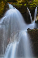 waterfall in forest