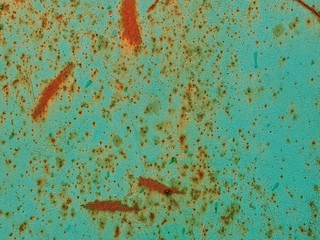 grunge background