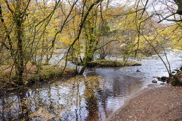 autumn tree colours in English countryside landscapes
