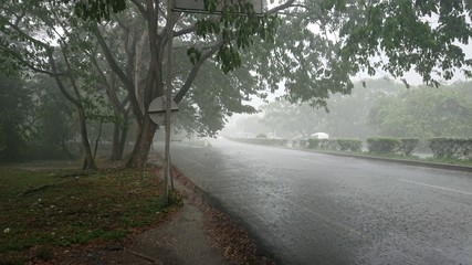Lluvia en la carretera 1