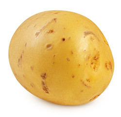 potato, isolated on white background, clipping path, full depth of field