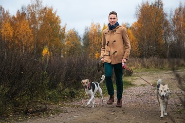 Man walking with dogs in nature in autumn park