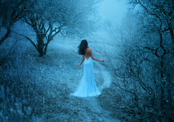 Woman in white creative sexy long dress sik train bare back walks in winter fantasy forest. Snow queen turned away, brunette hair fly wind. Backdrop black tree trunks branches grass covered frost fog