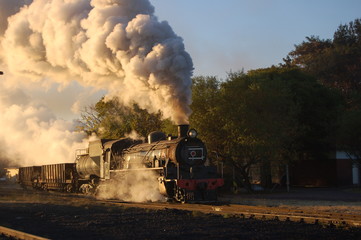 Obraz na płótnie Canvas steam train