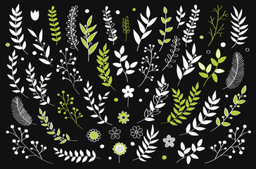 Hand drawn vector floral elements. Branches and leaves. Herbs and plants collection. Vintage botanical illustrations.