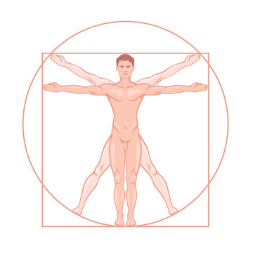 Leonardo da Vinci Vitruvian man vector graphic illustration. Cartoon character mankind human proportion standard symmetric person figure isolated on white background
