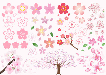 桜の花セット
