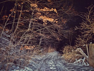 Night winter