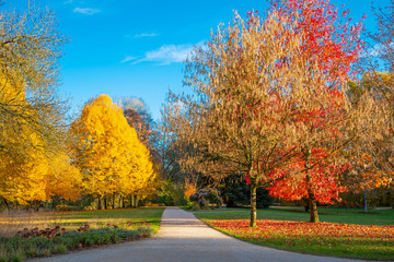 Naklejka premium The Loire Valley, castles, landscapes and nature