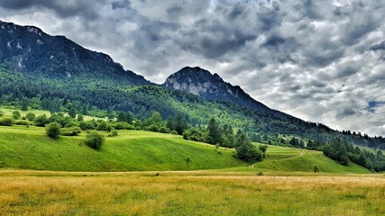 Green nature