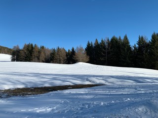 winter landscape with road and trees