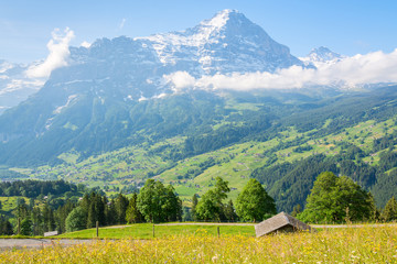 Spring in the Grindelwald Valley, view of the Eiger from Bussalpstrasse, Switzerland