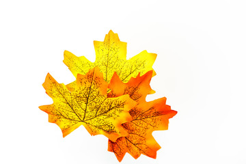 plastic artificial  maple leaf made from fabric isolated on white background