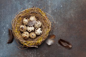 Easter greeting card with quail eggs