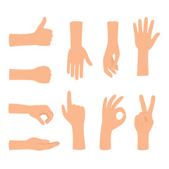 Hands gestures isolated on white background. Colored hand gesture set