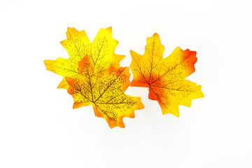 plastic artificial  maple leaf made from fabric isolated on white background