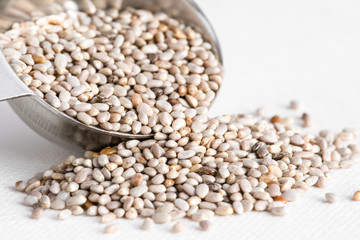 White Chia Seeds Spilled from a Teaspoon