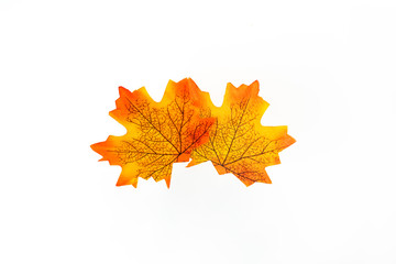Fototapeta premium plastic artificial maple leaf made from fabric isolated on white background