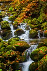 Fototapeta na wymiar Small waterfall in deep green forest