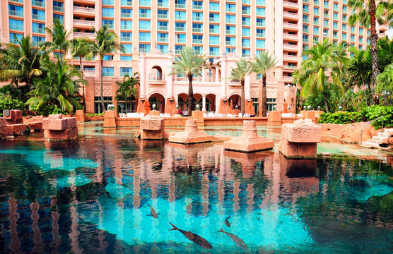 Fishes swimming at the base of Atlantis Paradise Island hotel