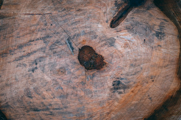 Wood background