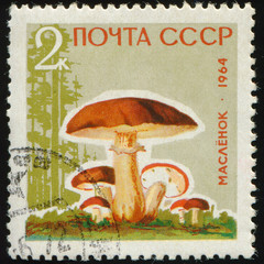 USSR - CIRCA 1964: stamp 2 Soviet kopek printed by USSR, shows mushrooms Butter mushroom, circa 1964