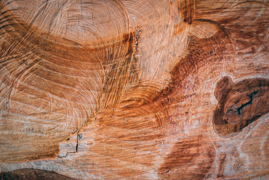Wood background