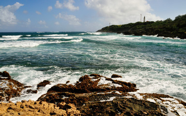 Rocky Coastal at Bottom Bay