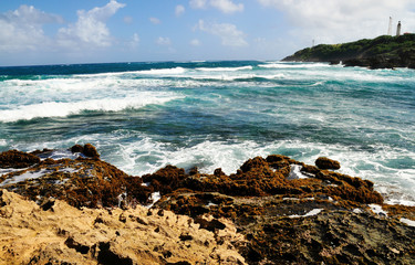 Rocky Coastal at Bottom Bay