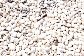 white stone background. shiny pebble beach