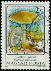 HUNGARY - CIRCA 1986: stamp 2 Hungarian forint printed by Hungary, shows mushrooms Amanita...