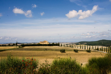landscape of tuscany in autumn