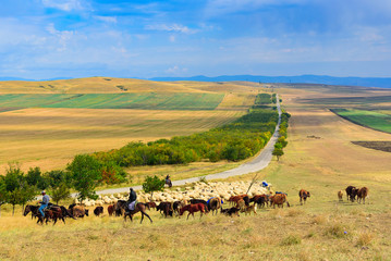 Fototapeta na wymiar Georgian steppe landscape on the way East from Tbilisi to the monastery complex David Gareji.