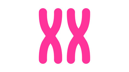 X chromosome icon. Feminism vector elements.  Feminism banner design