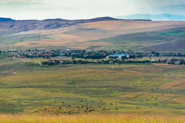 Fototapeta premium Georgian steppe landscape on the way East from Tbilisi to the monastery complex David Gareji.