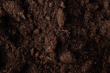 brown soil background texture, horizontal