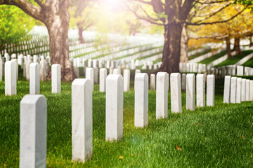 View or rows of white tombstones on the cemetery lit with warm sunlight sun