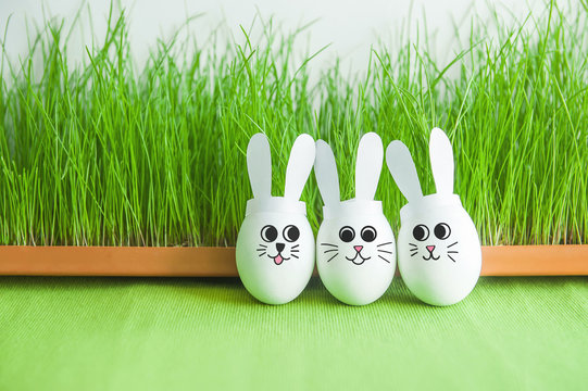 Cute funny rabbits with ears made of white eggs stand on a background of green grass. simfol easter and spring