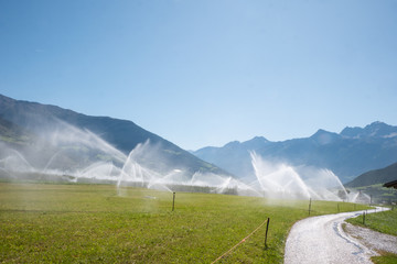artificial irrigation of meadows in Upper Adige
