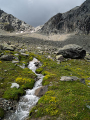 small sparkling mountain creek inmidst of alpine pasture, rocky mountains in the background