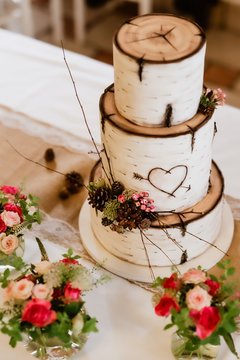 Wedding 3-storey cake that imitates pieces of tree trunk-birch. Cake complemented by natural decorations(cones,branches,flowers). On cake is carved heart pierced by arrow. Focused on center of cake.