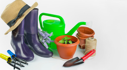 Gardening. A set of garden tools, a watering can for flowers, rubber boots and a sapling on a light background. The concept of spring. Copy space.