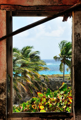 Window to Paradise