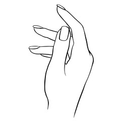 Vector woman hand outline illustration isolated on wite.