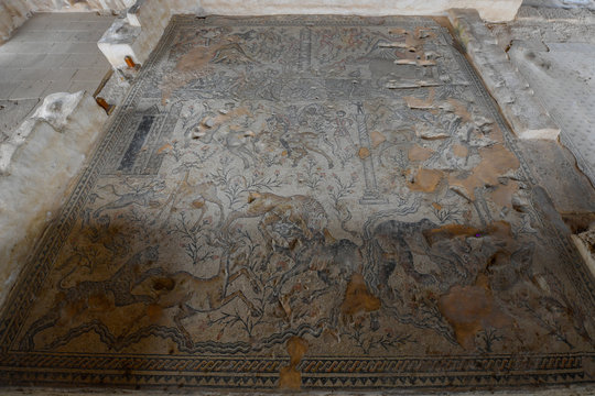 Mosaic floor in Zippori, Israel
